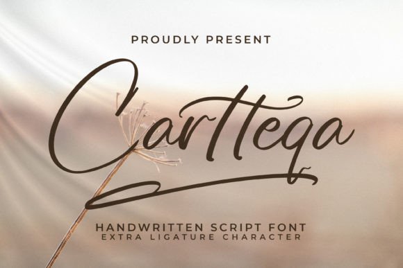 Cartteqa: A Script Handwritten Font for Modern Web and Brand Design