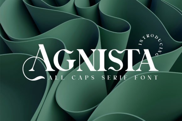 How Agnista Serif Font Transformed My Small Business Branding